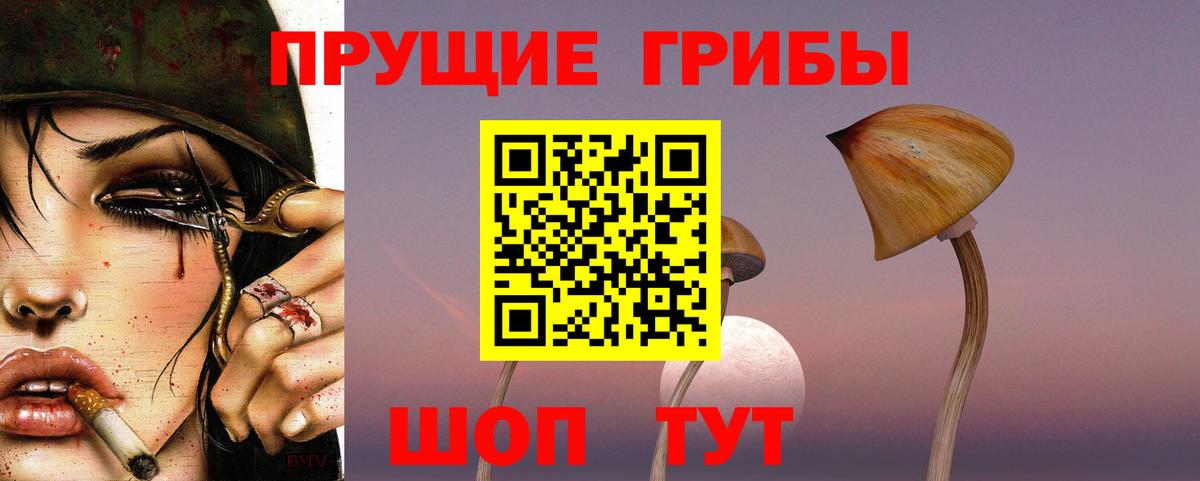 продажа наркотиков  Вход с VPN  Сатка  Псилоцибиновые грибы Cubensis 
